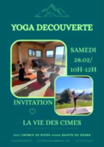photo Yoga découverte