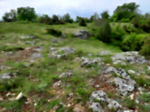 photo Balade découverte sur le plus grand causse du Berry