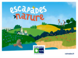 photo A la rencontre de la conservatrice du Cap Romain