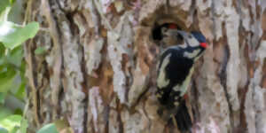 photo Sortie nature avec la LPO