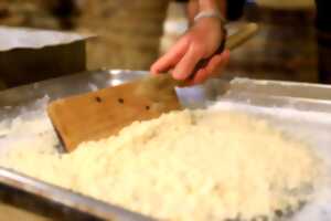 photo Le sel de la Baie