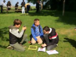 photo Sortie découverte des insectes : des bêtes pas si bêtes !