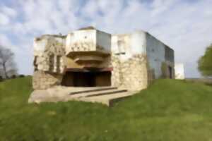 photo Visite guidée 