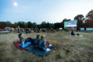 Les Nuits de la Saline - Cinéma Plein air