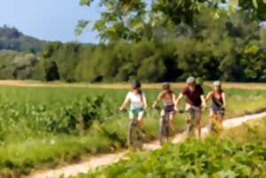 photo Printemps de la biodiversité - Balade printanière à vélo