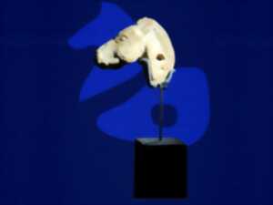 photo Portes ouvertes des abbayes de Sorde et d'Arthous