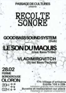 photo Récolte sonore