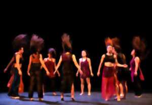 photo Fêu - Festival La Beauté du Geste