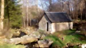 photo Projection et deébat sur le thème des abeilles