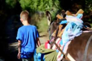 photo Randonnée pique-nique en groupe avec les Ânes Voyageurs