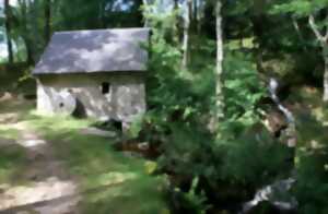 photo Balade et repas d'Automne