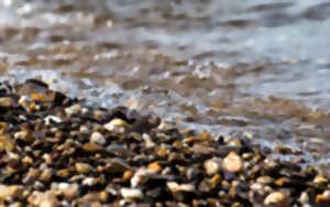 photo Opération zéro déchet