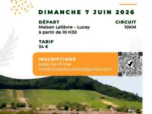 photo Marche gourmande des Côtes de Toul