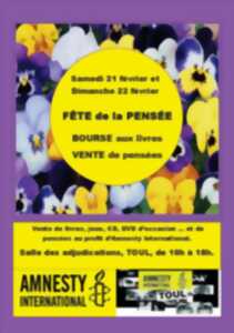 photo Fête de la pensée - Vente de livres - Amnesty International de Toul