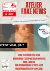photo Atelier Fake News