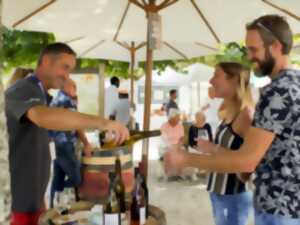 photo Fête des vendanges des AOC Cheverny et Cour Cheverny