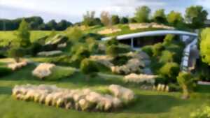 photo Soirée immersive à Haut-Bailly avec visite des chais suivie d’un dîner au Cellarium