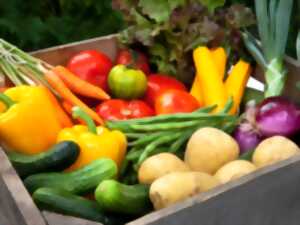 photo Marché traditionnel