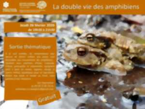 photo Sortie thématique : La double vie des amphibiens