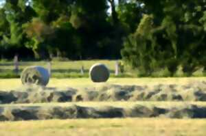 photo Fête des Foins - 7ème édition