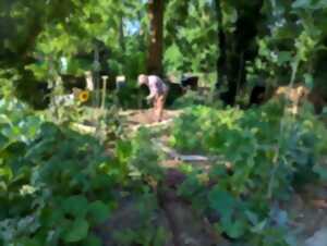 photo Atelier d'initiation au compostage et vermicompostage - JPO