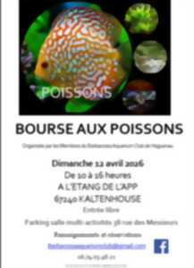 photo Bourse aux poissons du Barbarossa Aquarium Club de Haguenau