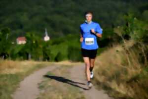 photo Courses de l'Ungersberg et des 3 terroirs (U3T)