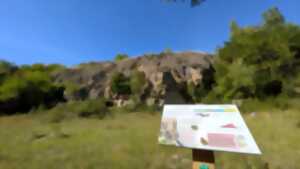 photo Sortie nature à Oeuilly : 