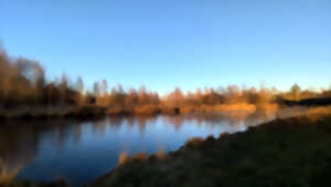 photo Sortie nature à Liesse-Notre-Dame : 