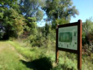 photo Balade découverte de l'ile de Marckolsheim