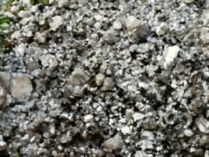 photo Expertise de cailloux