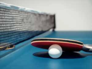 photo Tournoi de tennis de table et repas