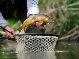 photo Pêche spéciale truite