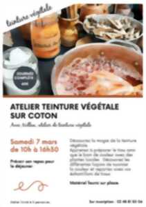 photo Atelier teinture végétale sur coton