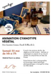photo Animation cyanotype végétal