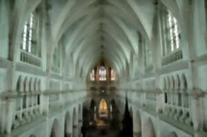 photo Concert Orgue et Cornemuse à la Basilique