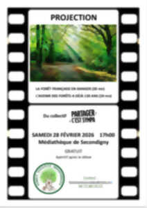 photo La forêt en projection