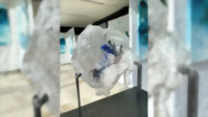 photo Exposition : Nathalie Dumontier, entre opacité et transparence