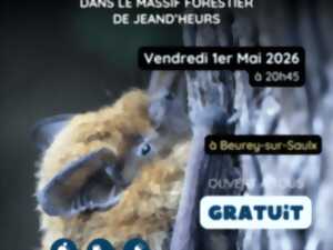 photo Animation nature : mystères et voix de la nuit