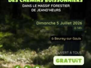 photo Animation nature : à l'aventure des chemins buissonniers