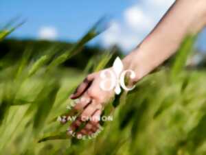 photo Ateliers nature