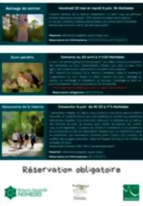 photo BALISAGE DE SENTIER