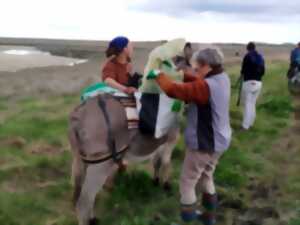 photo Chantier de nettoyage havre de Surville
