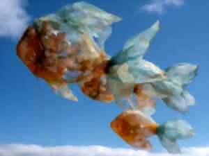 photo Collecte de déchets