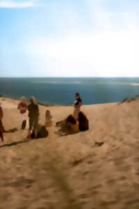 photo Visite guidée de la Dune du Pilat au Banc d'Arguin