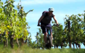 photo Rando à la ferme avec Trott'Iraty