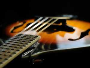 photo Concert de mandolines et guitares