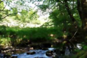 photo Le printemps du bocage