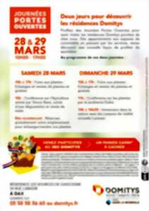 photo Foire aux plantes