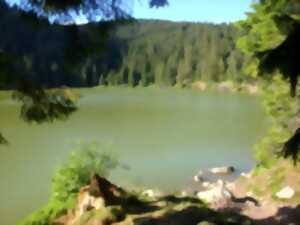 Club Vosgien : Tanet - Lac Vert